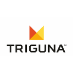 Triguna Projects Pvt Ltd - Bangalore Image