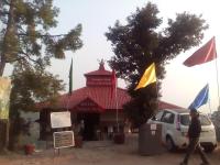 Jungle Hut Hotel - McLeod Ganj - Dharamshala