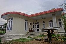 Chanting Pines - Dharamshala