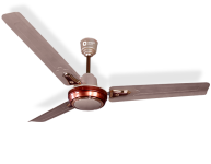 Orient Electric Summer Pride Ceiling Fan