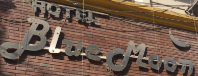 Hotel Blue Moon - Chandigarh