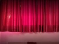 Sunflower - Chandigarh