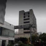 The Pelican - Chandigarh