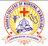 Vagdevi School and College of Nursing - Bangalore