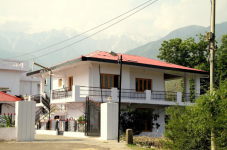 Bundla Tea Estate Homestay - Kangra