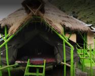 The Solitude Camp - Kangra