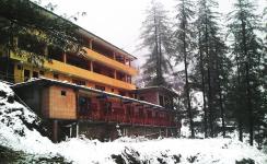 Negi Nest Kasol - Kullu