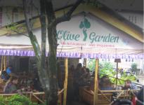 Olive Garden - Kullu