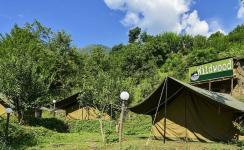Wildwood Camping - Kullu