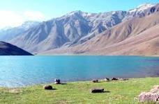 Moon Lake Camps - Lahaul and Spiti