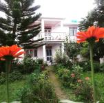 CG Home Stay - Mandi