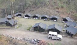 Nestling Meadows - Sirmaur