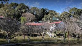 Denisford Estate - Solan