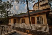 Jungle Lodge - Solan