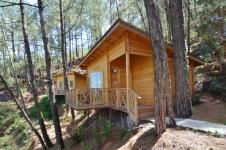 Kasauli Hills Resort - Solan