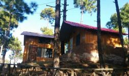 Nature Treat - Solan