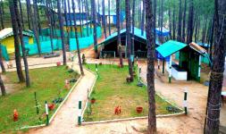Pine Hills Eco Camp - Solan