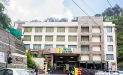 Savoy Greens  Jabli - Solan