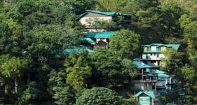 Winnies Holiday Resort - Solan