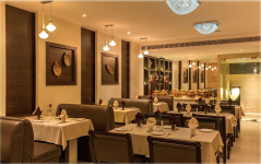 Silver Leaf - Ana Sagar Lake - Ajmer