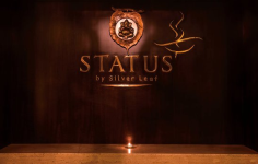 Status By Silver Leaf - Ana Sagar Lake - Ajmer