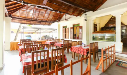 Green Aura - Koyippalli - Alappuza