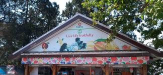 HPMC Corner - Longwood - Shimla