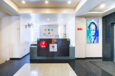 Compact Maple Leaf - Bangalore