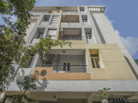 Compact Magnolia - Bangalore