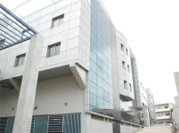 The Crocus - Bangalore