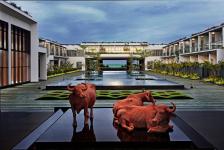 Sheraton Grand Resort & Spa - Chennai