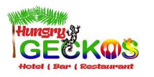 Gecko - Arambol Beach - Arambol - Goa