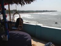 Oasis - Arambol Beach - Arambol - Goa