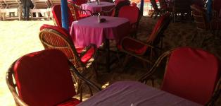 Sea Horse - Calangute Beach - Calangute - Goa