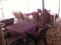 Flipper - Calangute Beach - Calangute - Goa