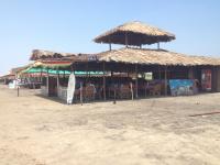 Sea Gull - Morjim Beach - Arambol - Goa