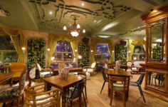 Versova Social - Andheri West - Mumbai