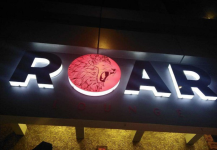 Roar - Vashi - Navi Mumbai