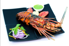 The Chervil - JP Nagar - Bangalore