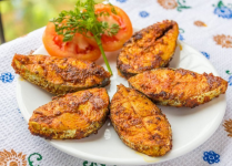 Dr. Sheesha - JP Nagar - Bangalore