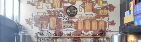 HyLife Brewing Company - Jubilee Hills - Hyderabad