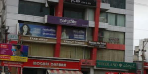 Moghal Darbar - Tolichowki - Hyderabad