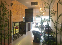 The Real Green Cafe - Koregaon Park - Pune