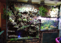 Spezia Bistro - GTB Nagar - New Delhi