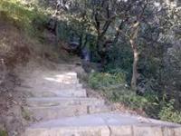 Gaumukh Temple - Mount Abu