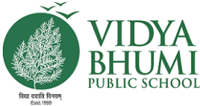 Vidya Bhumi Public School - Chhindwara