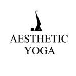 Aesthetic Yoga - Vasant Kunj - New Delhi