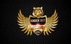 Knockout Martial Arts - Laxmi Nagar - New Delhi