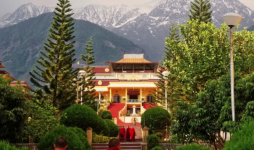 Gyuto Monastery - Kangra