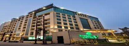 Banana Tree Hotel - Ghaziabad